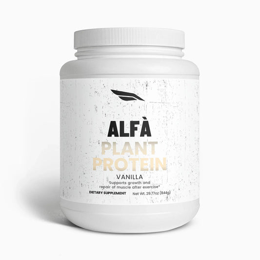 Plant Protein (Vanilla)