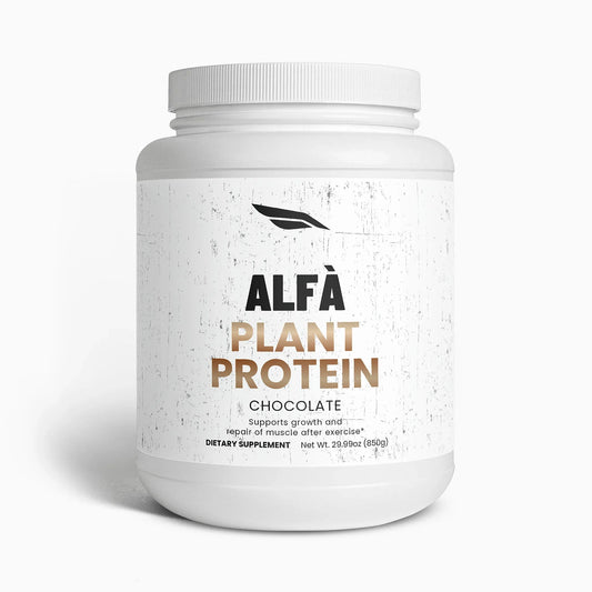 Plant Protein (Chocolate)